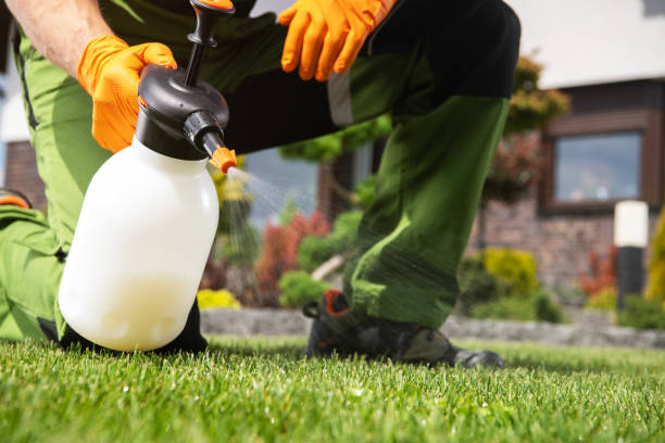 Best Residential Pest Control  in Logansport, LA