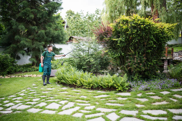Best Pest Removal Services  in Logansport, LA