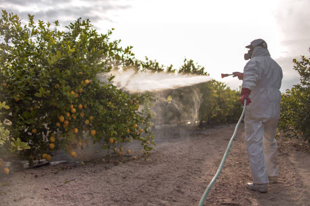 Best Residential Pest Control  in Logansport, LA