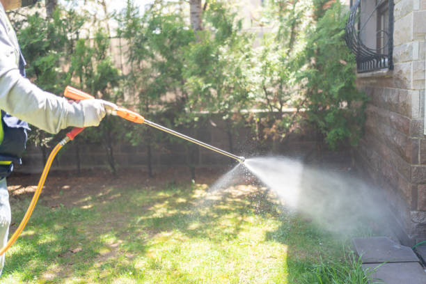 Best Ant Control Services  in Logansport, LA