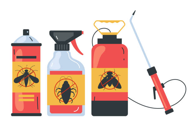 Best Spider Control Near Me  in Logansport, LA