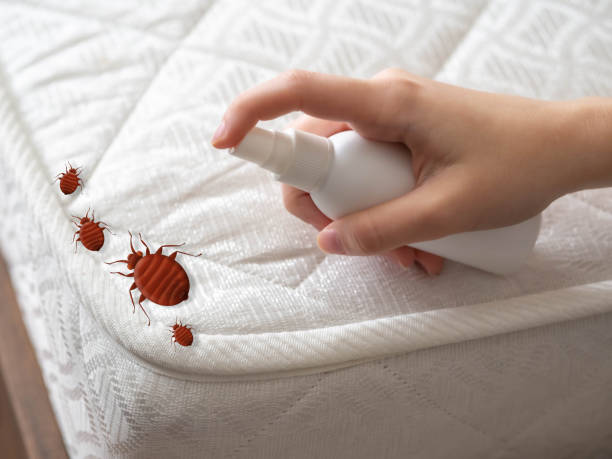 Best Pest Control Near Me  in Logansport, LA