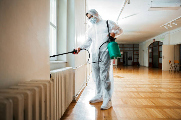 Best Rat Extermination Near Me  in Logansport, LA
