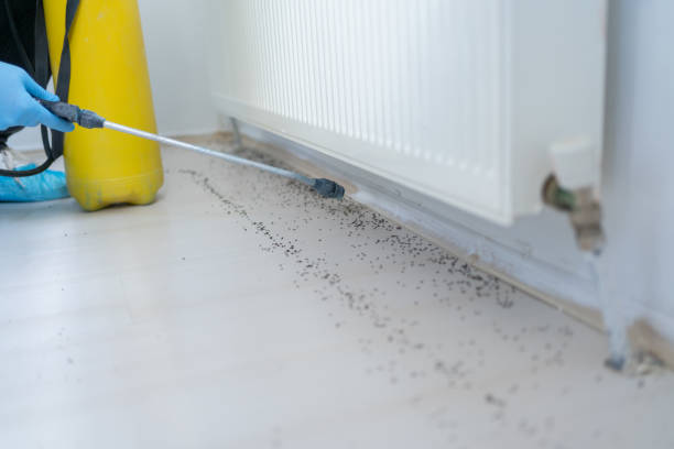 Trusted Logansport, LA Pest Control Experts