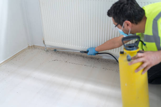 Best Pest Inspection Near Me  in Logansport, LA